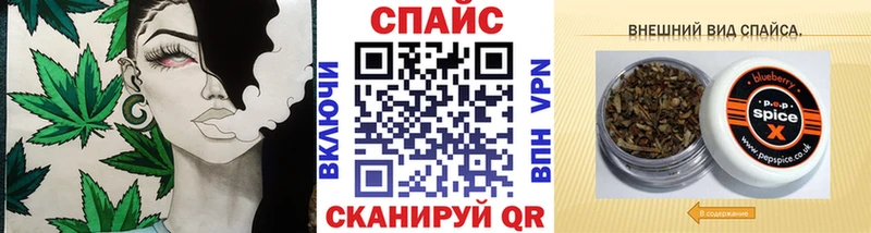 где найти   Черепаново  Бутират BDO 