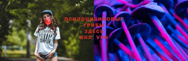 герыч Лиски