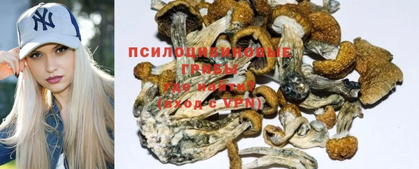 герыч Лиски