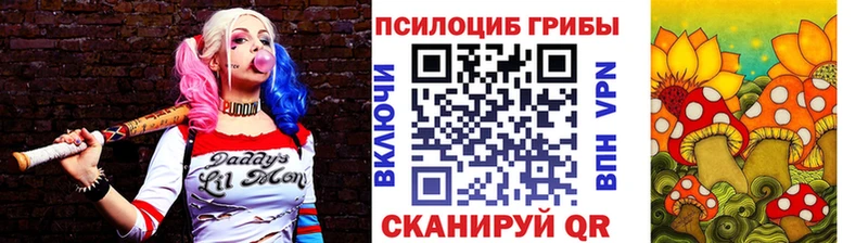 Галлюциногенные грибы Psilocybe  Черепаново 